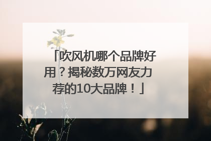 吹风机哪个品牌好用？揭秘数万网友力荐的10大品牌！