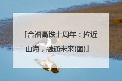 合福高铁十周年：拉近山海，融通未来(图)