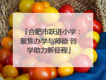 合肥市跃进小学：聚焦办学与师德 督学助力新征程