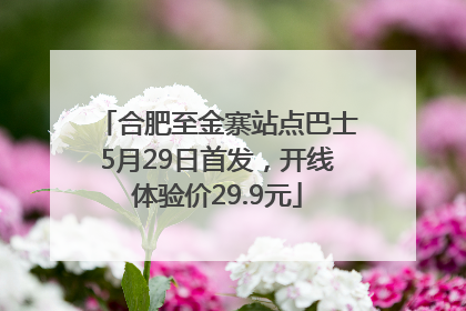 合肥至金寨站点巴士5月29日首发，开线体验价29.9元
