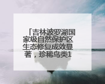 吉林波罗湖国家级自然保护区生态修复成效显著，珍稀鸟类10年增加5倍