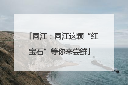 同江：同江这颗“红宝石”等你来尝鲜