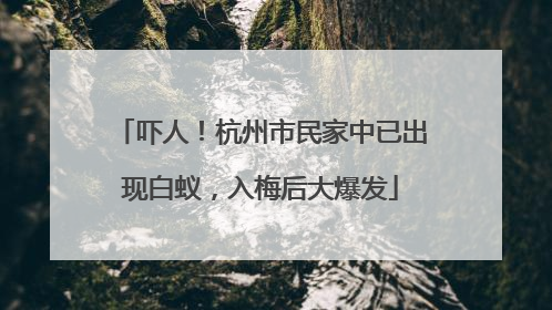吓人！杭州市民家中已出现白蚁，入梅后大爆发