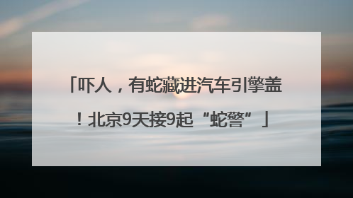 吓人，有蛇藏进汽车引擎盖！北京9天接9起“蛇警”