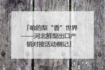 咱的梨“香”世界——河北鲜梨出口产销对接活动侧记