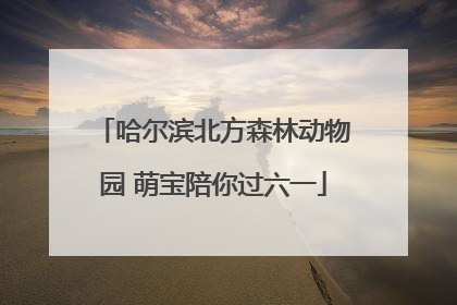 哈尔滨北方森林动物园 萌宝陪你过六一