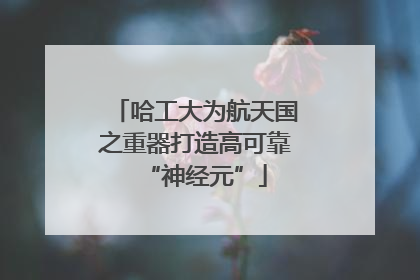 哈工大为航天国之重器打造高可靠“神经元”