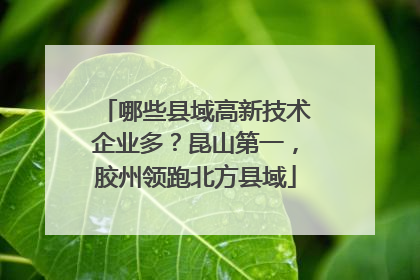 哪些县域高新技术企业多？昆山第一，胶州领跑北方县域
