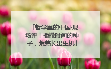 哲学里的中国·现场评丨播撒时间的种子，荒芜长出生机