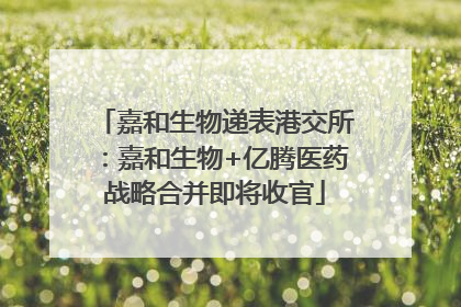 嘉和生物递表港交所：嘉和生物+亿腾医药战略合并即将收官