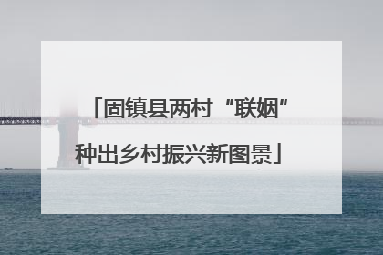 固镇县两村“联姻”种出乡村振兴新图景