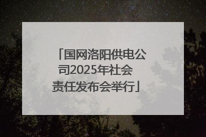 国网洛阳供电公司2025年社会责任发布会举行