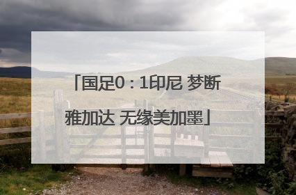 国足0∶1印尼 梦断雅加达 无缘美加墨
