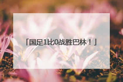 国足1比0战胜巴林！
