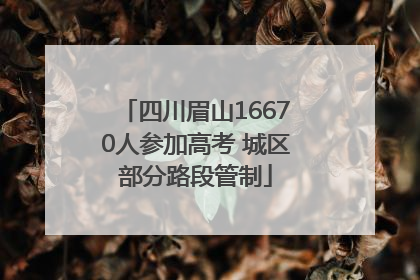 四川眉山16670人参加高考 城区部分路段管制