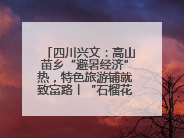 四川兴文：高山苗乡“避暑经济”热，特色旅游铺就致富路丨“石榴花开”四川行⑧