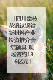 四川攀枝花钒钛钢铁新材料产业投资推介会结硕果 现场签约136亿元