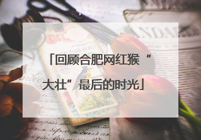 回顾合肥网红猴“大壮”最后的时光