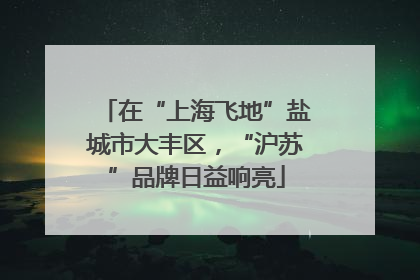 在“上海飞地”盐城市大丰区，“沪苏”品牌日益响亮