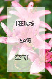 在现场｜5A级空气