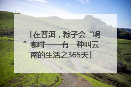 在普洱，粽子会“喝”咖啡——有一种叫云南的生活之365天