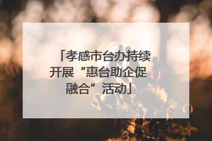 孝感市台办持续开展“惠台助企促融合”活动
