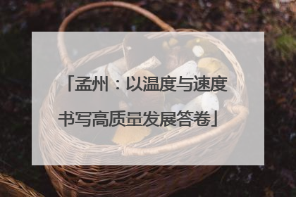 孟州：以温度与速度书写高质量发展答卷