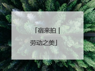 宿来拍｜劳动之美