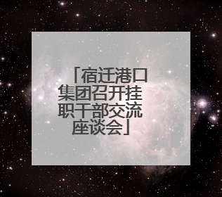 宿迁港口集团召开挂职干部交流座谈会