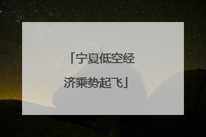 宁夏低空经济乘势起飞