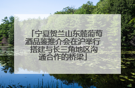 宁夏贺兰山东麓葡萄酒品鉴推介会在沪举行 搭建与长三角地区沟通合作的桥梁