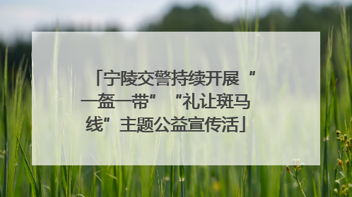 宁陵交警持续开展“一盔一带”“礼让斑马线”主题公益宣传活
