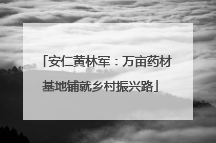 安仁黄林军：万亩药材基地铺就乡村振兴路