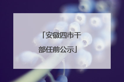 安徽四市干部任前公示