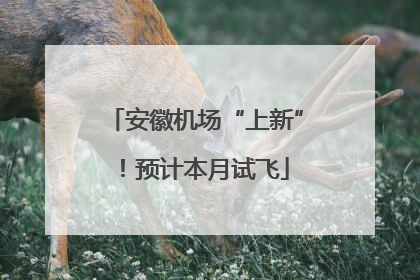 安徽机场“上新”！预计本月试飞