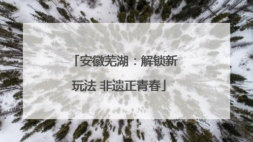 安徽芜湖：解锁新玩法 非遗正青春