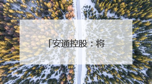 安通控股：将继续专注主业 增强业务优势