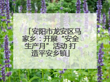 安阳市龙安区马家乡：开展“安全生产月”活动 打造平安乡镇