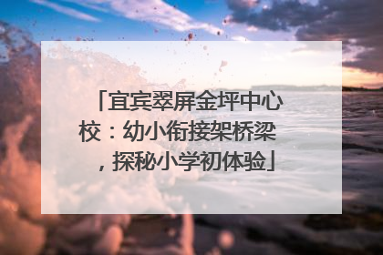 宜宾翠屏金坪中心校：幼小衔接架桥梁，探秘小学初体验
