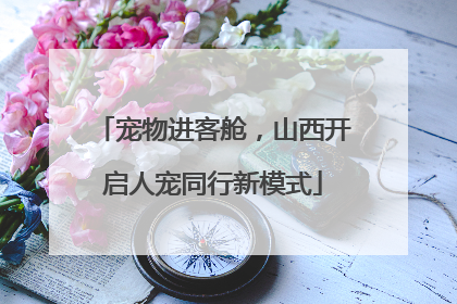 宠物进客舱，山西开启人宠同行新模式