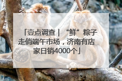 壹点调查｜“鲜”粽子走俏端午市场，济南有店家日销4000个