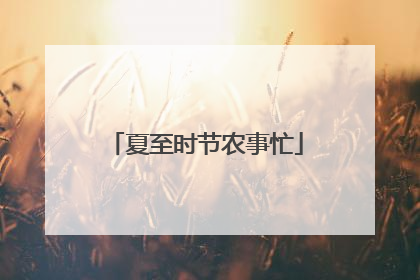 夏至时节农事忙