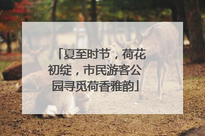 夏至时节，荷花初绽，市民游客公园寻觅荷香雅韵