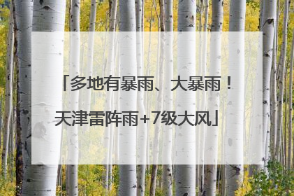 多地有暴雨、大暴雨！天津雷阵雨+7级大风