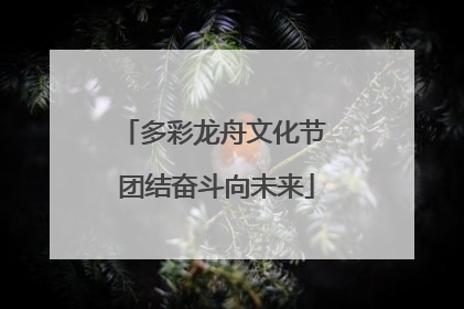 多彩龙舟文化节 团结奋斗向未来