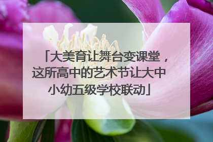 大美育让舞台变课堂，这所高中的艺术节让大中小幼五级学校联动