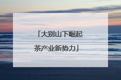 大别山下崛起茶产业新势力