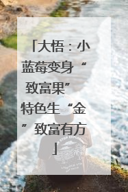 大悟：小蓝莓变身“致富果” 特色生“金”致富有方