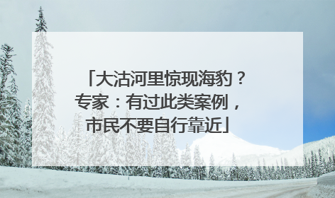 大沽河里惊现海豹？专家：有过此类案例，市民不要自行靠近