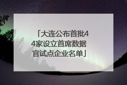 大连公布首批44家设立首席数据官试点企业名单